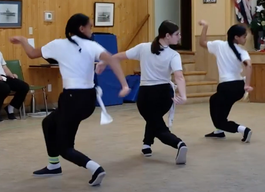 Des élèves de l'école de kung-fu d'Argenteuil pendant la démonstration annuelle